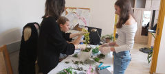 VdGEM-Fruehlingsworkshop-2025-5